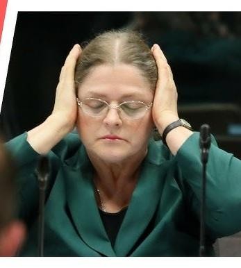 Malowniczy widok na Wojcieszów, rodzinne miasteczko Krystyny Pawłowicz, z charakterystyczną zabudową i zielonym krajobrazem Dolnego Śląska.